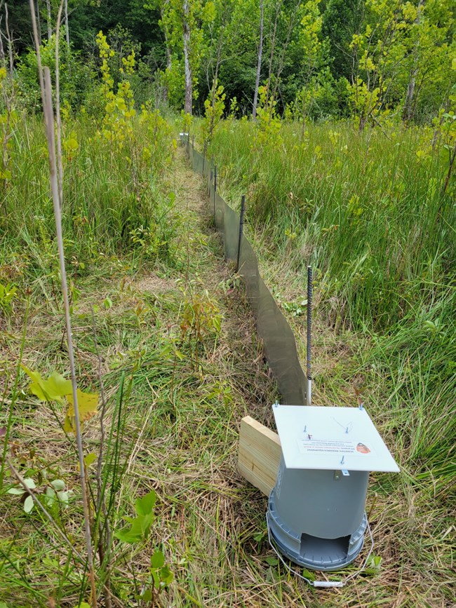 AHDriFT Array An area of tall green grasses and young trees, divided by a thin metal sheet held up with vertical posts; at the near end, an overturned gray bucket with a whole cut out near the ground.