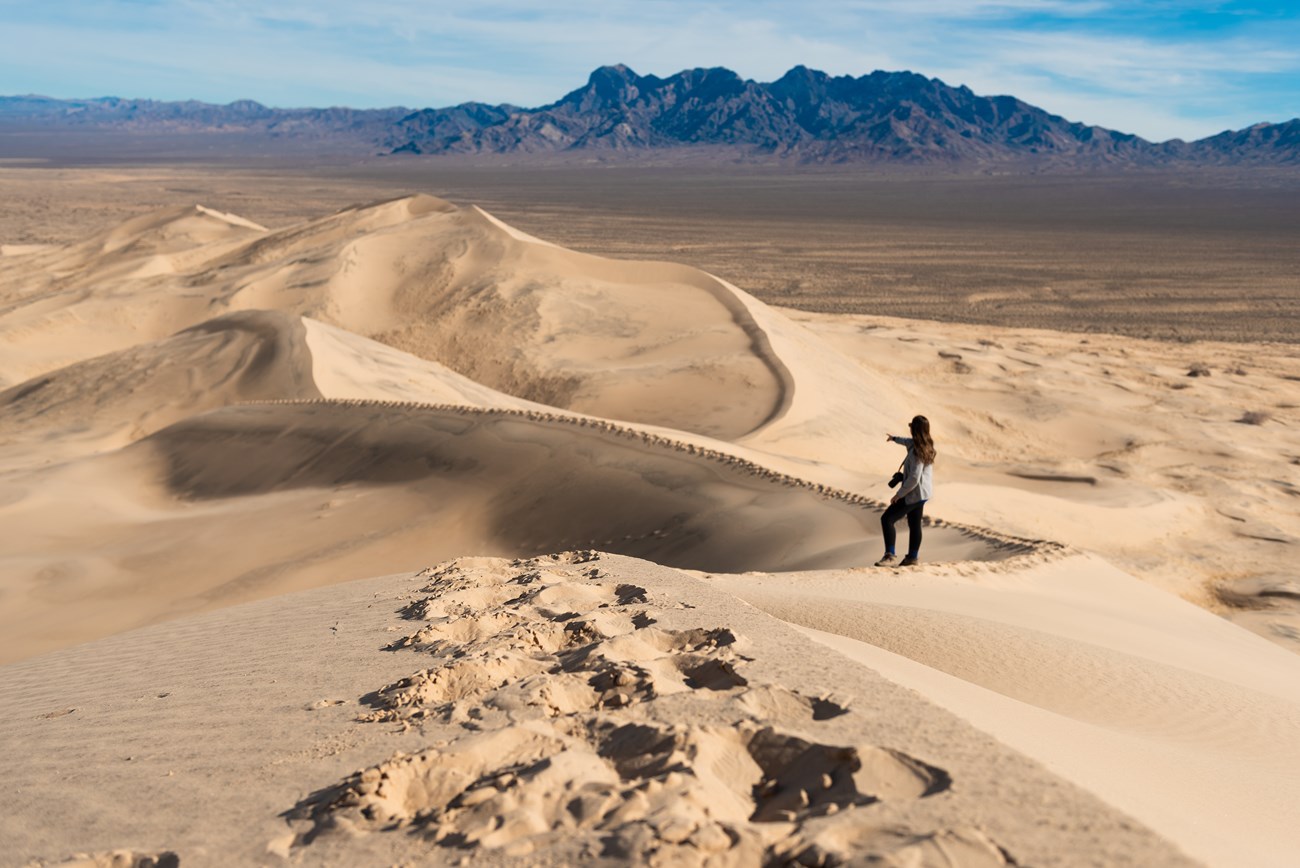 A person hiking on the top of a sand dune with mountains in the distance