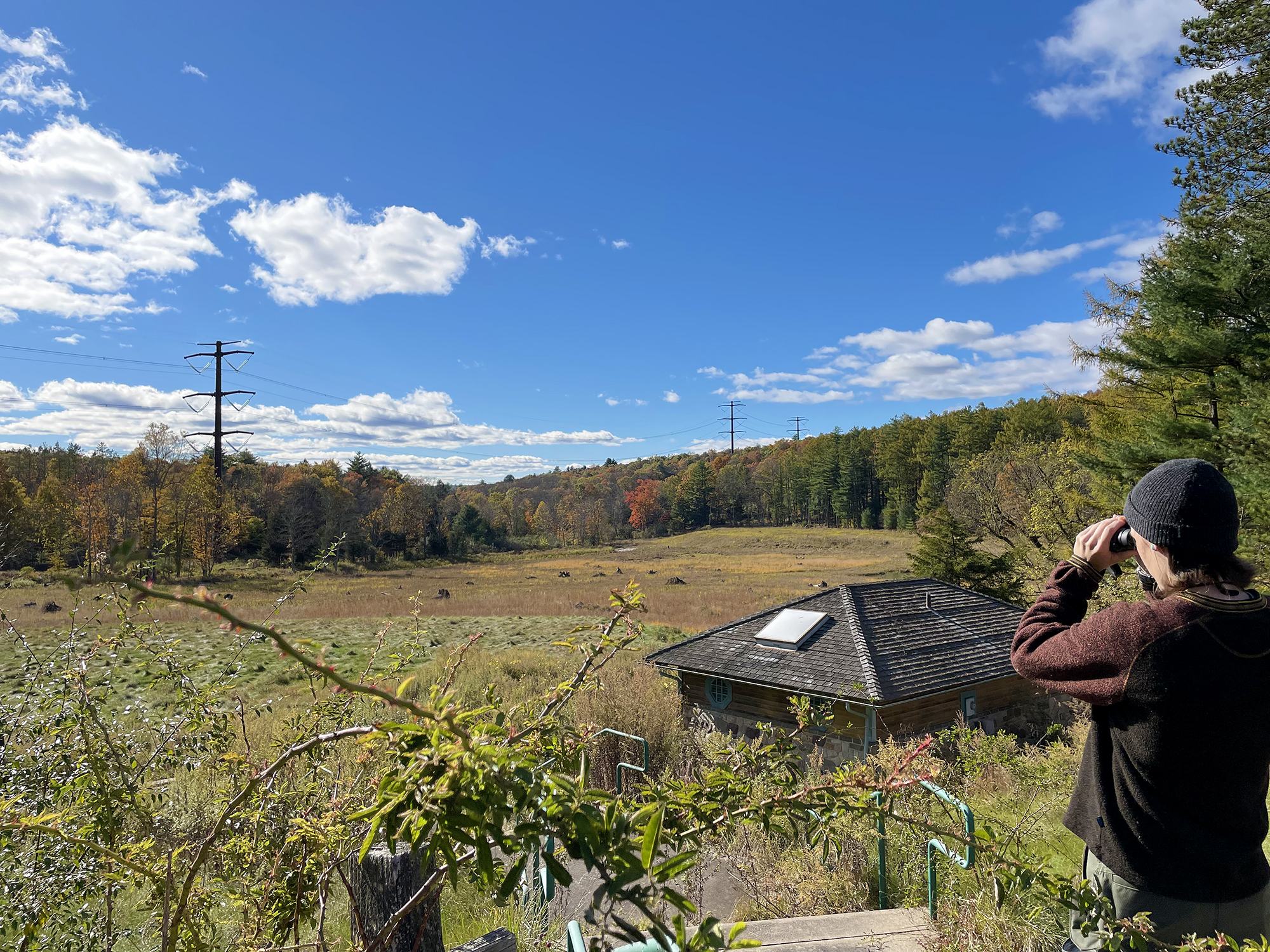 A person in a knit cap looks through binoculars at a distant field.