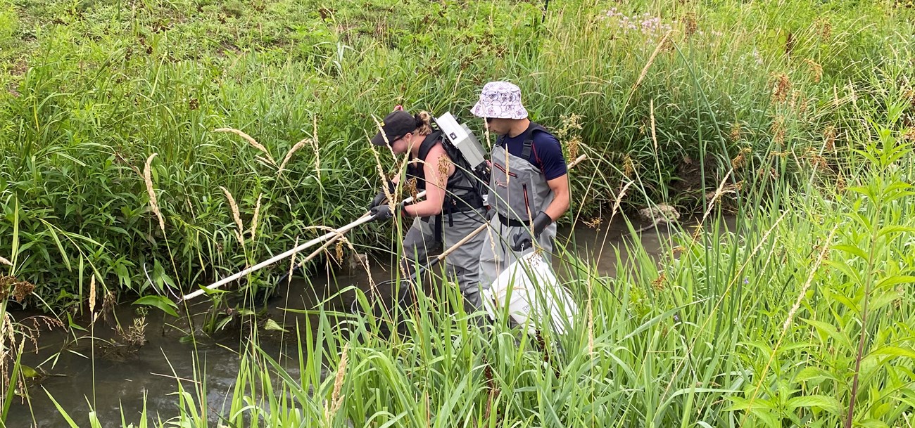 Two scientists walking through a narrow creek, one with a long pole attached to a piece of equipment worn as a backpack and the other with a bucket.