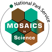 mosaics logo
