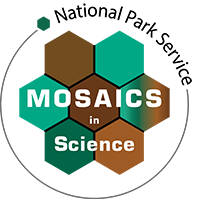 Mosaics_logo_200 mosaics logo