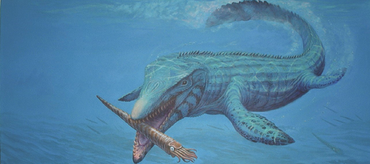 a marine reptile swims through water and closes its jaws around a long, shelled squidlike creature