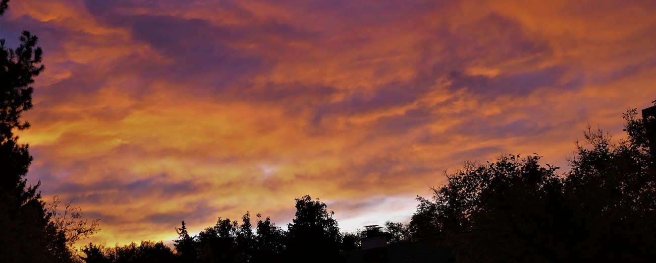 Purple sunrise with black silhouetted trees. Purple sunrise with black silhouetted trees.