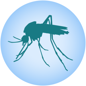 Mosquito Mosquito