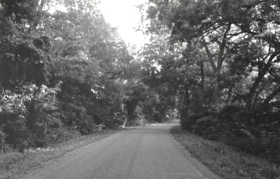 A black and white photograph of a road running through woodlands.