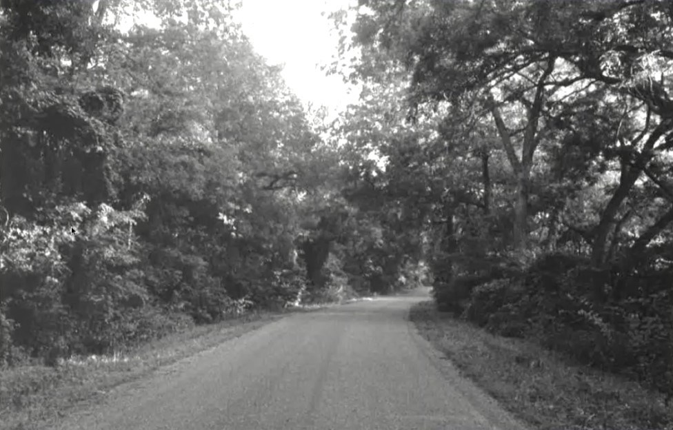Mother Neff State Park Road A black and white photograph of a road running through woodlands.