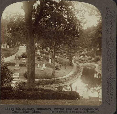 Landscape view of rural cemetery showing curving walkway, large trees, waterway, and variety of headstones across a slope.