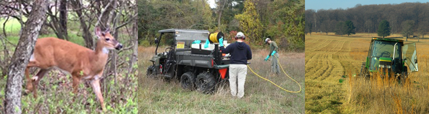 Deer reduction, herbicide application, and mowing and haying. three photos from left to right, a white-tailed deer, a UTV parked in a field with a hose on the back, and a tractor mowing tall grass