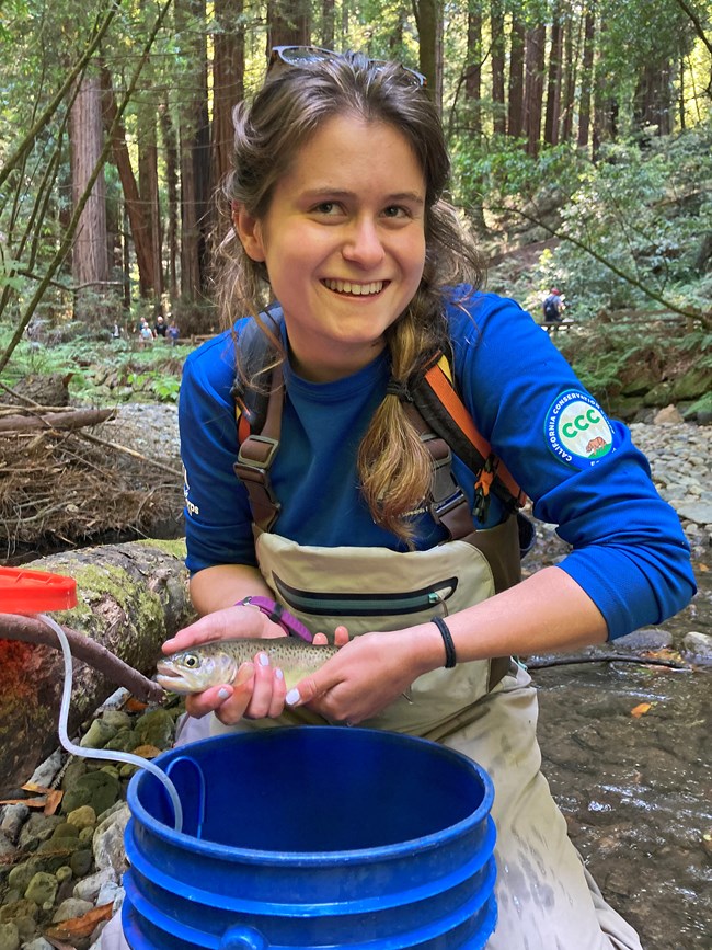 Young woman in a blue shirt and beige waders holding a meduim-sized spotted fish over a aerrated blue bucket beside a creek.