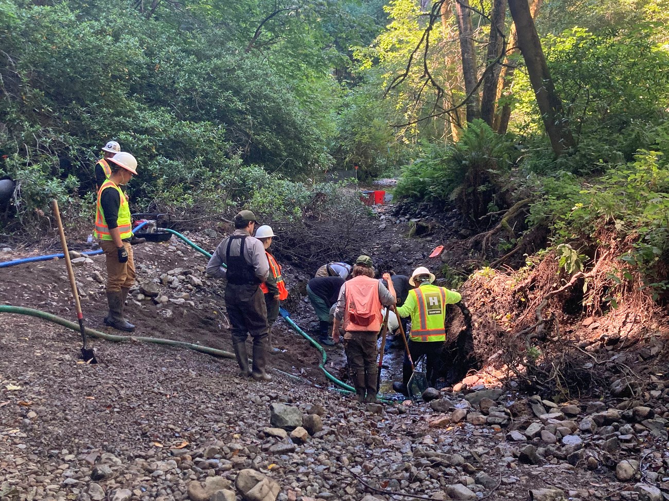 A half dozen people crowd around a shrinking pool of water in a deep depression in the now-exposed creek bed. Hoses run from the pool.