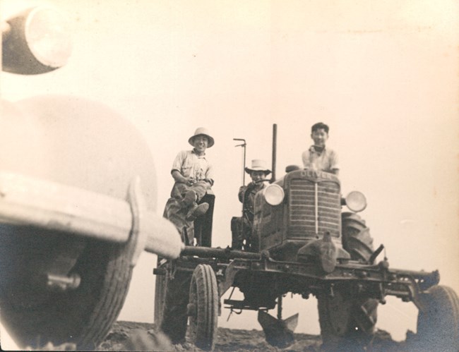 Black and white photo of three Japanese American young men sitting on a tractor. One smiles from the driver’s seat with both hands on the wheel. The other two flank him perched atop the large rear wheels. The fender of a car is visible in the foreground.