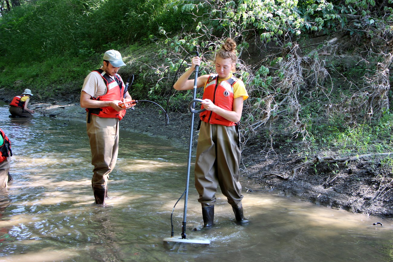 A female uses the antenna, which looks like a metal detector, of the PIT tag reader to search for tag mussels while a male holding the controller for the PIT tag reader looks on.  In the background four males are searching for mussels.