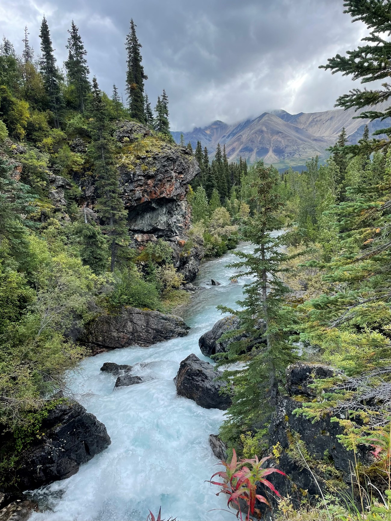 My Park Story Noah Van Lith emerson A roaring river winds through a rocky landscape. To the left are towering rock cliffs and green trees, and to the right are green trees. There is a mountain in the distance with overcast conditions.