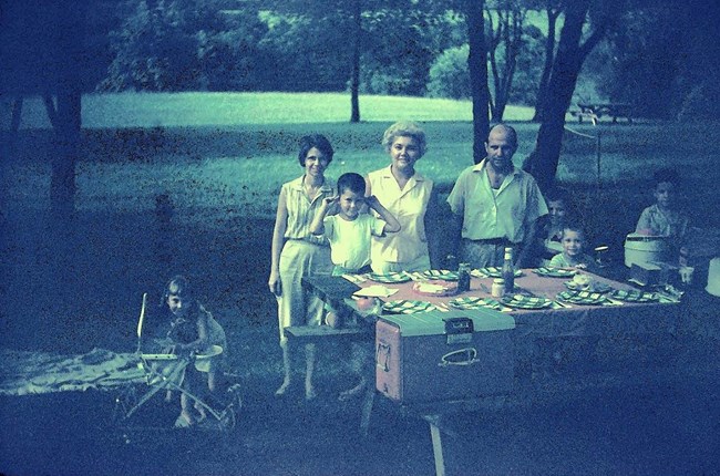A family at an outdoor picnic