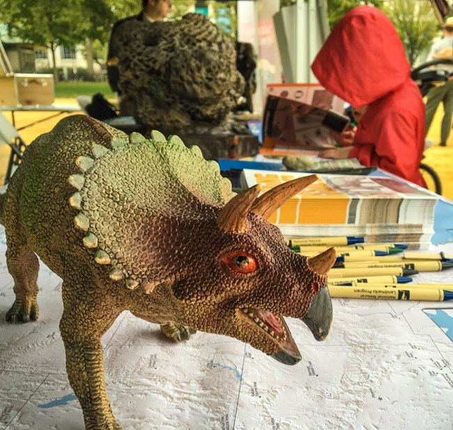 Triceratops toy in front of a kid filling in a Junior Ranger book
