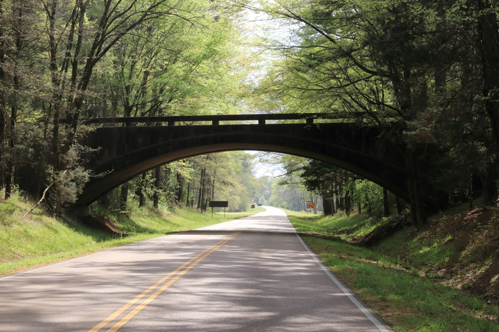 NATR Roadway and Bridge NPS An empty two-lane paved road covered in shadow. The road is lined with green trees and grass. A small arched bridge spans over the road.