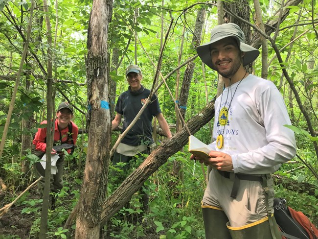 Three vegetation crew members standing in a forest