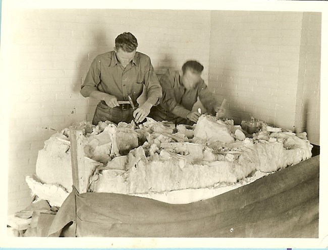 Two men work as a table with tools to remove fossils from rock.