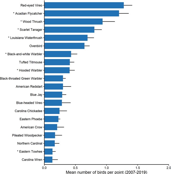 A blue bar chart of the twenty most abundant streamside bird species at the park.