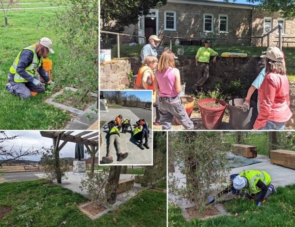 A photo collage of landscaping work done by the Visually Inspiring Outdoor Inspiring Landscape Assistant Volunteer Team.