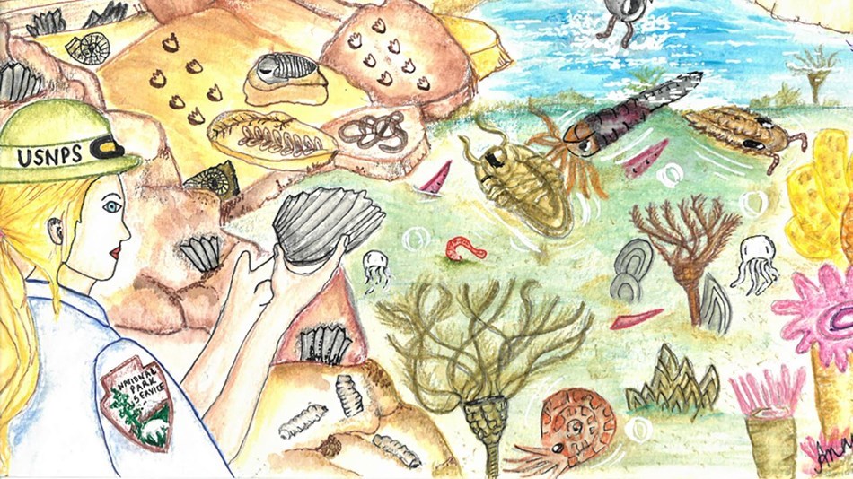An illustration of a park ranger inspecting fossils An illustration of a park ranger inspecting fossils