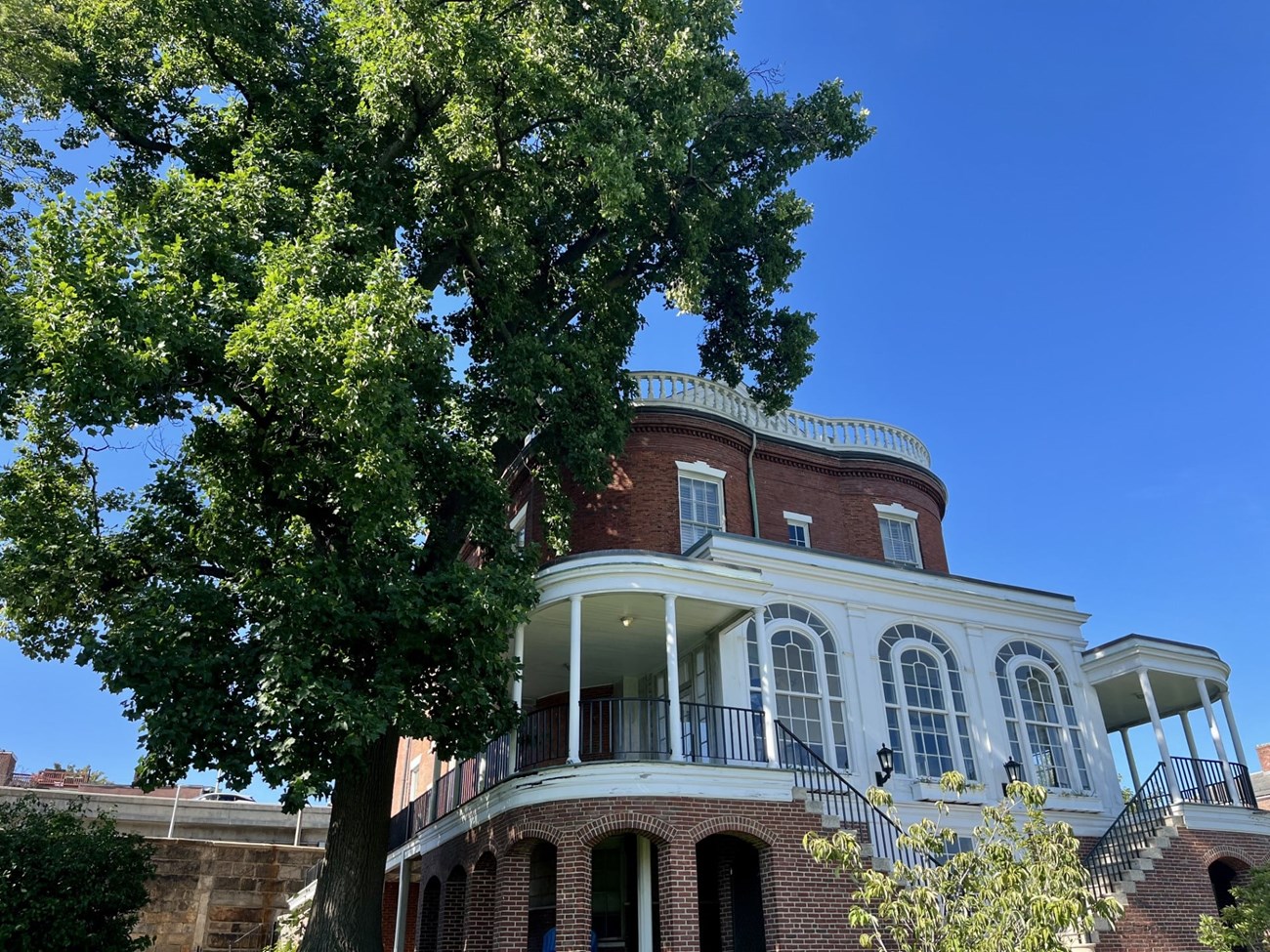 A large Tuliptree with green, broad leaves towers over a 19th century-era three story brick building, situated to the right of the tree.