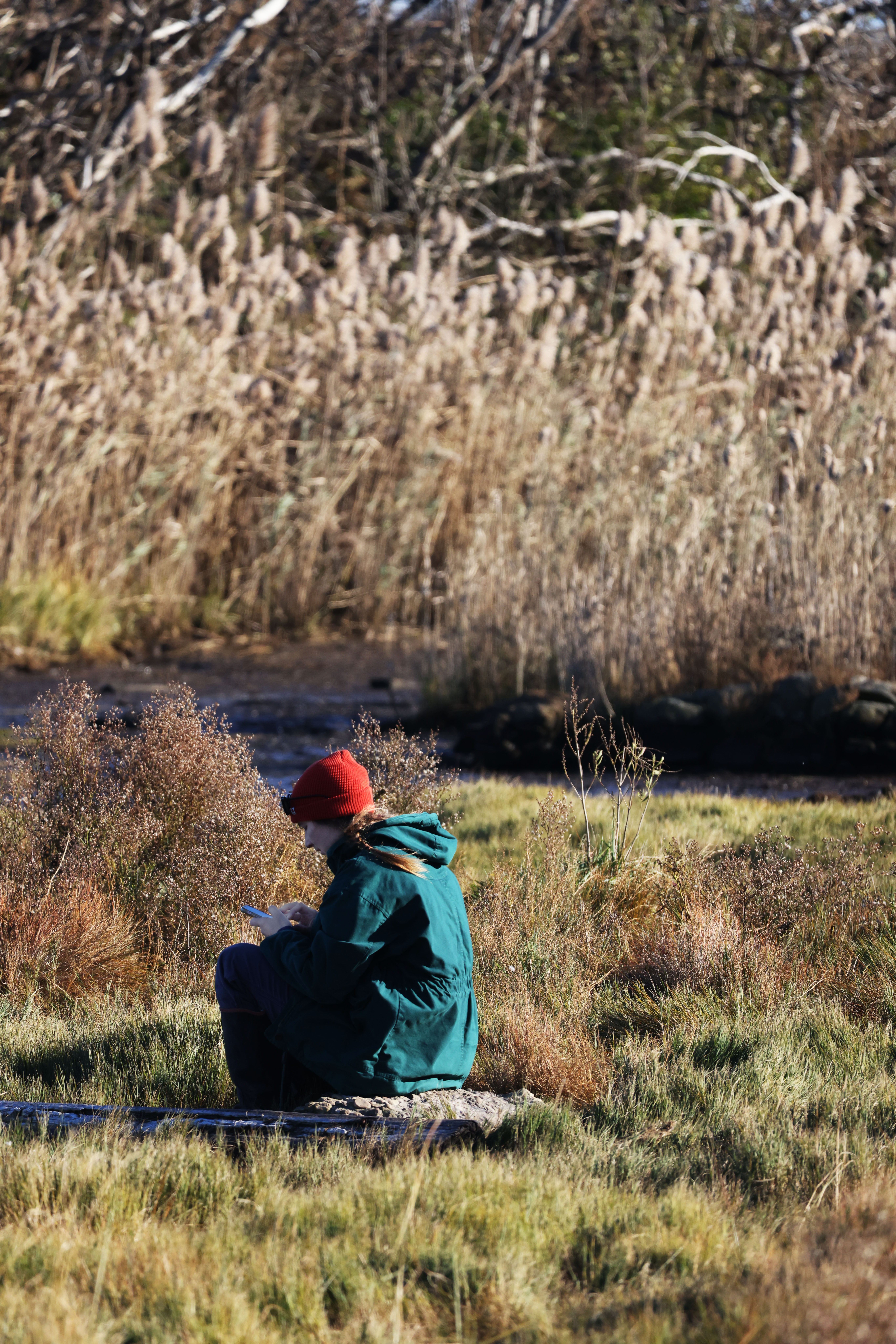 A person in a blue coat and red hat sits facing away in a salt marsh, writing in a notebook.