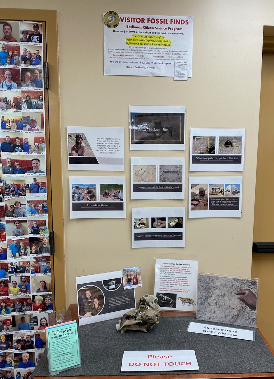 Photo of interpretive display.