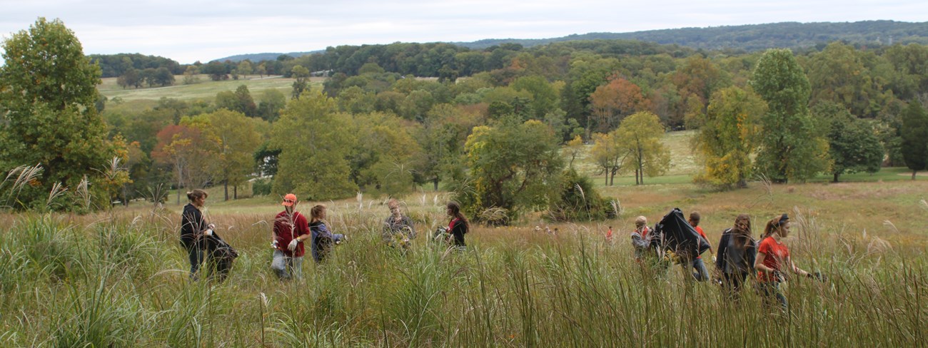 NPLD Weed Warriors volunteers wear gloves and hold large plastic bags in a meadow