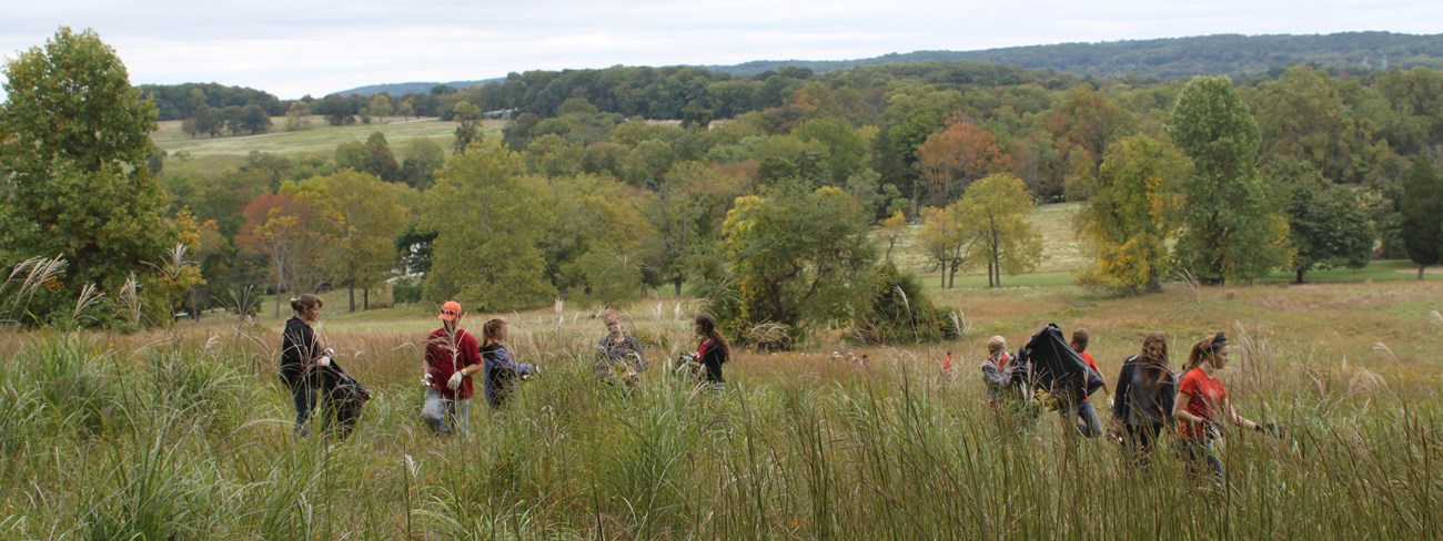 volunteers wear gloves and hold large plastic bags in a meadow