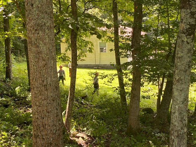 Looking through the trees at a building with people walking around nearby.