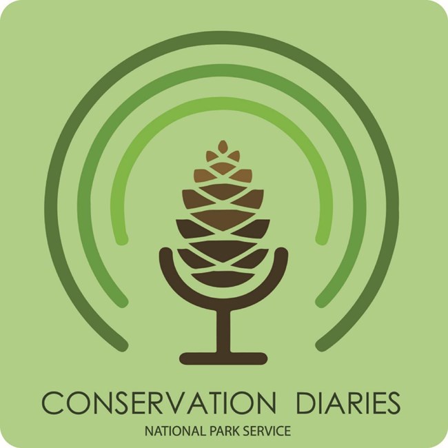 The Conservation Diaries logo showing a pine cone with radio waves surrounding it.