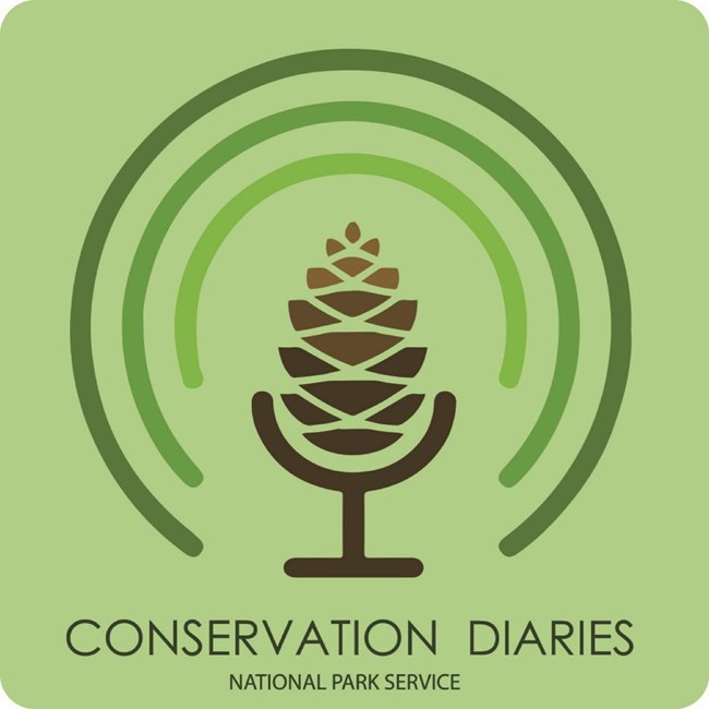 NPS Conservation Diaries logo The Conservation Diaries logo showing a pine cone with radio waves surrounding it.