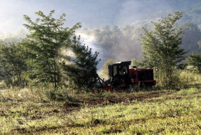 Nearly 500 acres were mechanically treated by chopping small trees and shrubs into smaller pieces of debris, similar to the process of a chipper. A piece of equipment working in an area with trees.