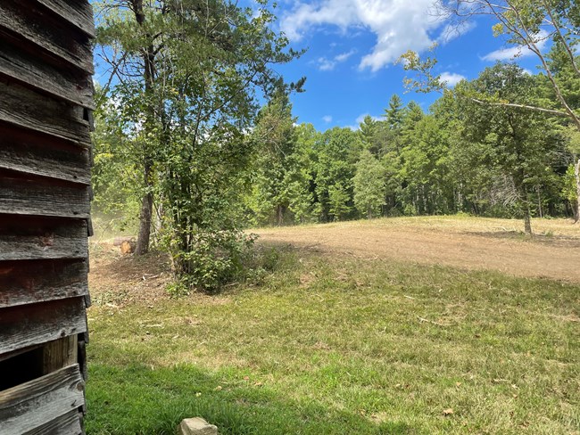 Cleared area near cabin. The corner of a cabin with a cleared area surrounding it and forest beyond.