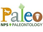 illustration with fossil symbols and words "Paleo" and "NPS Paleontology"