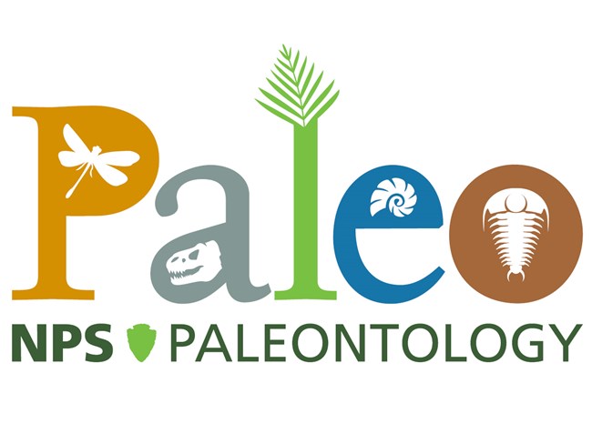 illustration with fossil symbols and words "Paleo" and "NPS Paleontology"