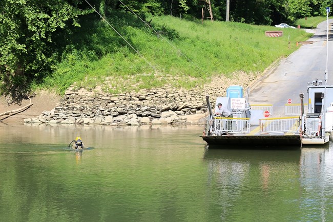Diver in Green River