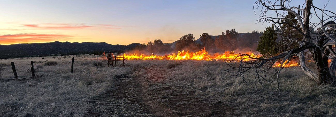 Night Operations on the East Encerrito prescribed fire at El Malpais National Monument Fire in grassy meadow at sunset.