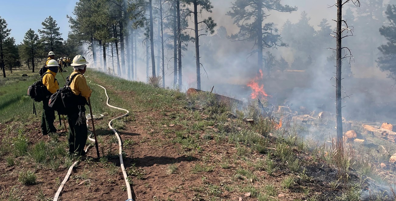 Firefighters monitoring the Calderon Triangle prescribed fire in El Malpais National Monument. Firefighters monitor a fire as it burns in ponderosa pine forest.