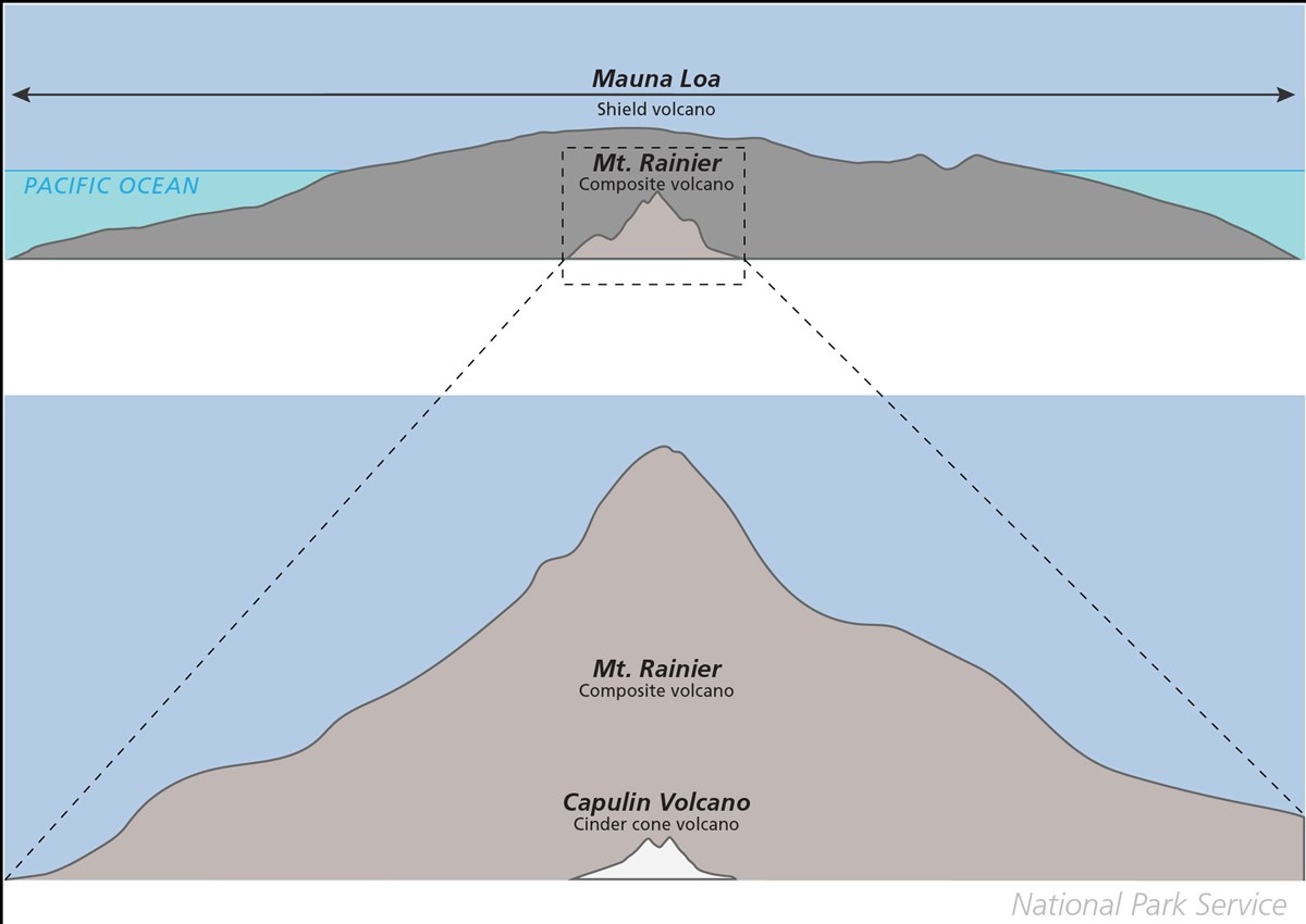 illustration comparing 3 volcano types (from largest to smallest) Mauna Loa shield volcano, Mt. Rainier composite volcano, Capulin Volcano Cinder Cone