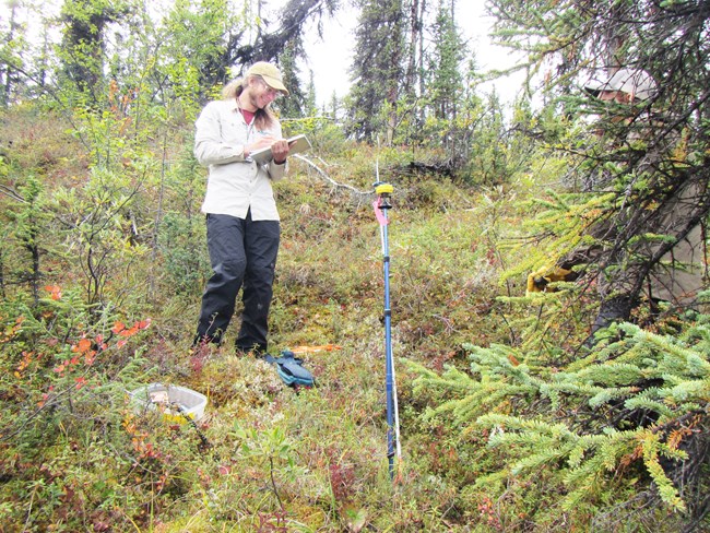 A man writes on a clipboard in a forested area near a piece of surveying equipment
