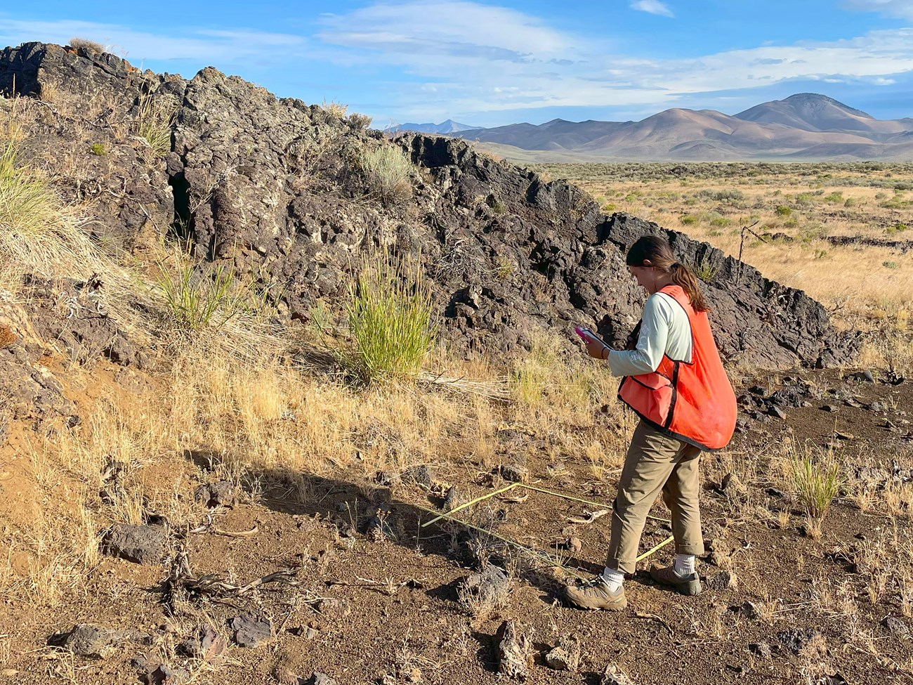 Monitoring a plant community Scientist in an orange safety vest entering data on an electronic device beside a plot of plants and rocky soil in a vast open landscape of rocks, hills, and shrubland.