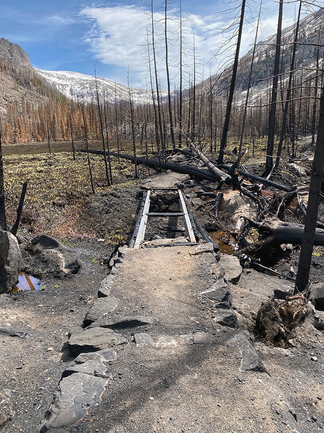 Footbridge along the Tonohutu Trail after the East Troublesome Fire.