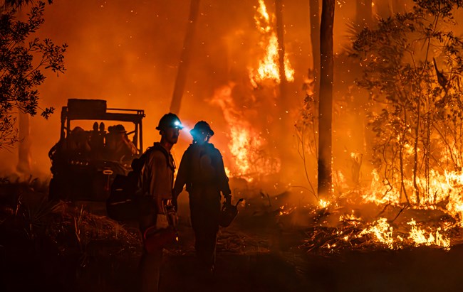 Two wildland firefighters wearing headlamps at night in the middle of a burning forest
