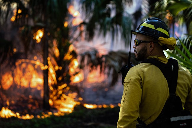 Firefighter looks on as prescribed fire burns in south Florida