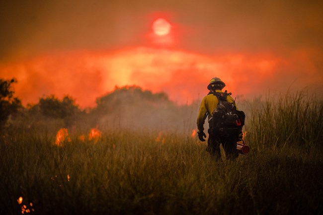 South Florida Fire and Aviation employee finishes Rx Fire ignitions in South Florida.
