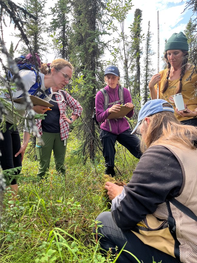4 women in a forested area look on as a 5th woman kneels on the ground holding a layer of duff from the ground