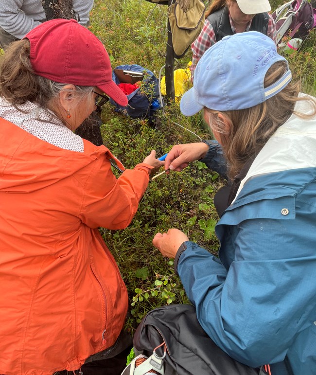 Closeup of two women kneeling on the ground outside examining vegetation